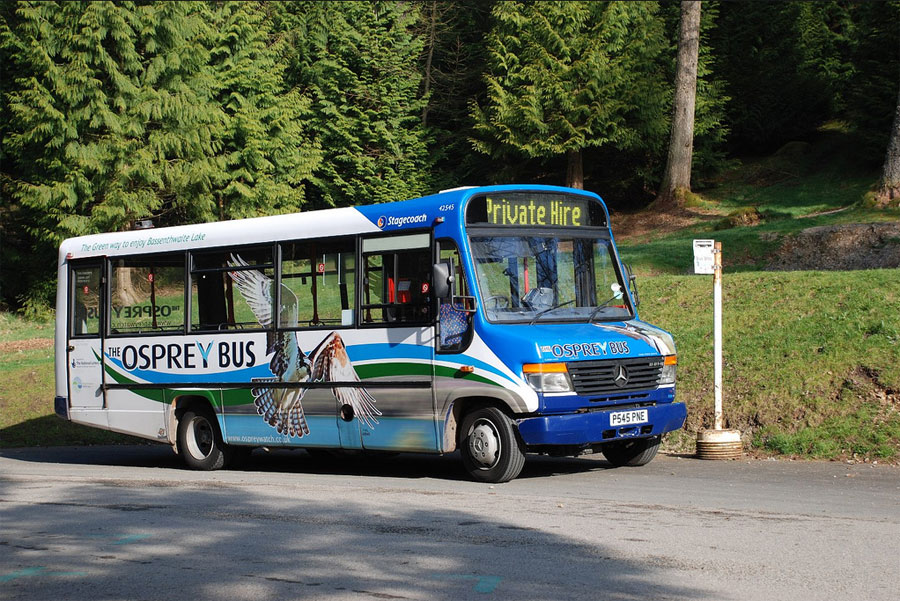 The Osprey Bus waits at Whinlatter